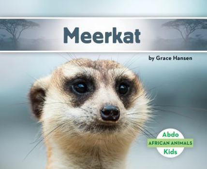 Suricata / Meerkat - Book  of the African Animals