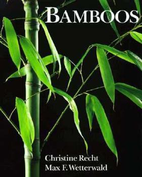 Hardcover Bamboos Book