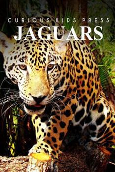 Paperback Jaguars - Curious Kids Press Book