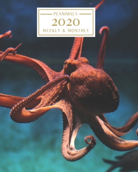 Paperback 2020: Weekly and Monthly Planner/Calendar Jan 2020 - Dec 2020 Red Squid/Giant Octopus Book