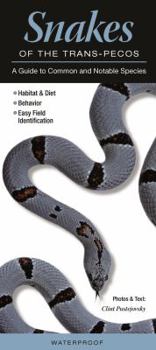 Pamphlet Snakes of the Trans-Pecos: A Guide to Common & Notable Species Book