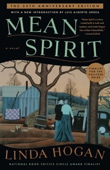 Paperback Mean Spirit Book