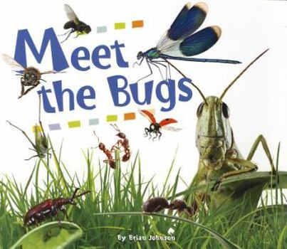 Paperback Meet the Bugs Book