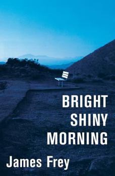 Hardcover Bright Shiny Morning Book