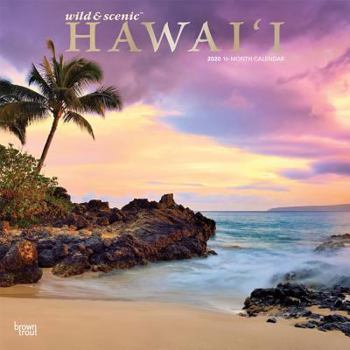 Calendar Hawaii Wild & Scenic 2020 Square Foil Book