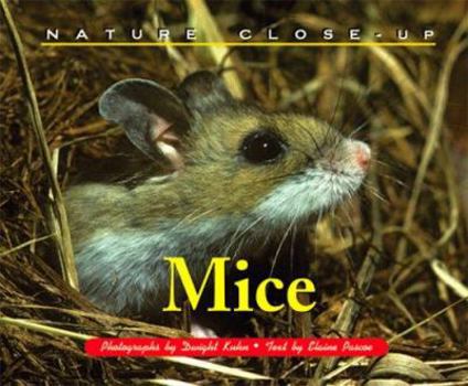 Library Binding Mice Book