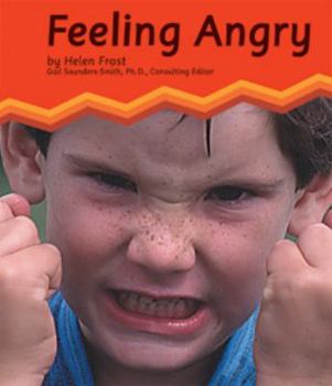 Hardcover Feeling Angry Book