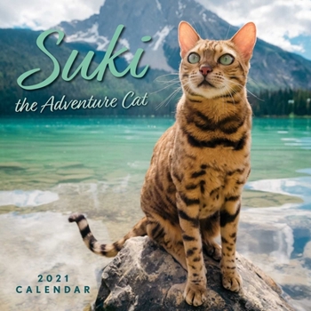 Calendar Suki the Adventure Cat 2021 Wall Calendar Book