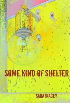 Some Kind of Shelter