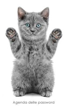 Agenda delle password: Agenda degli indirizzi web e delle password di accesso - Copertina gattino giocoso (Agende per gli amanti dei gatti)