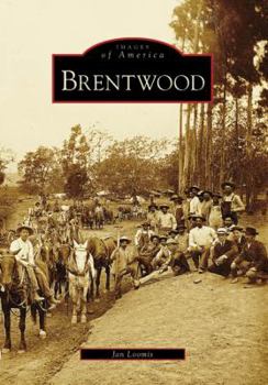 Paperback Brentwood Book