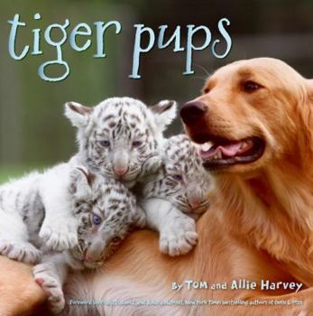 Hardcover Tiger Pups Book