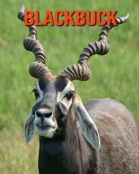 Paperback Blackbuck: Learn About Blackbuck and Enjoy Colorful Pictures Book