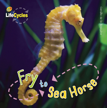 Fry to Seahorse - Book  of the Lifecycles