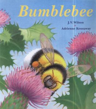 Hardcover Bumblebee Book