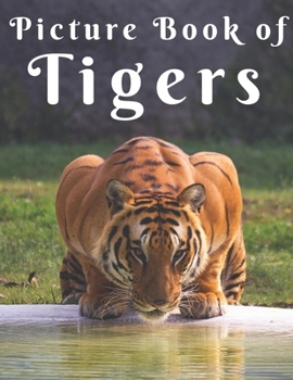 Paperback Picture Book of Tigers Book