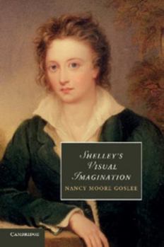 Shelley's Visual Imagination - Book  of the Cambridge Studies in Romanticism