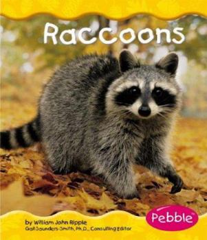 Hardcover Raccoons Book