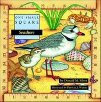 Seashore - Book  of the One Small Square