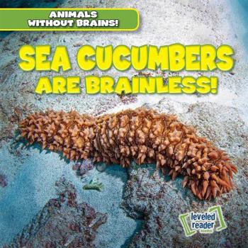 Library Binding Sea Cucumbers Are Brainless! Book