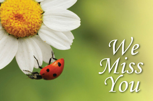 Misc. Supplies We Miss You Ladybug Postcard (Pkg of 25) Book