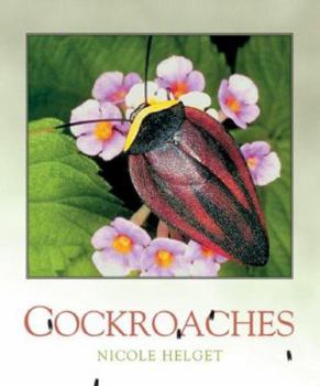 Cochroaches - Book  of the Bugbooks