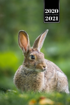 Rabbit Bunny Hare Rodent Week Planner Weekly Organizer Calendar 2020 / 2021 - Sunrays: Cute Wildlife Animal Pet Bullet Journal Notebook Diary in 6” x 9” Inch Pocket Size