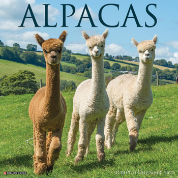 Calendar Alpacas 2021 Wall Calendar Book