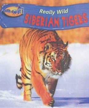 Hardcover Take-off! Really Wild: Siberian Tigers (Take-off!) Book
