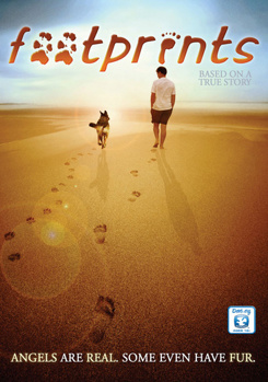 DVD Footprints Book