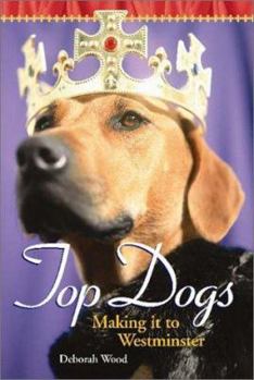 Paperback Top Dogs: Making It to Westminster Book