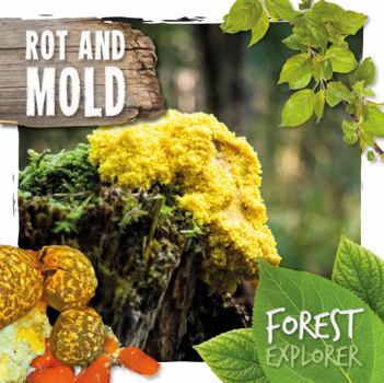 Hardcover Rot & Mould (Forest Explorer) Book