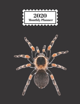 Paperback 2020 Monthly Planner: Tarantula Spider Black Background Design Cover 1 Year Planner Appointment Calendar Organizer And Journal For Writing Book
