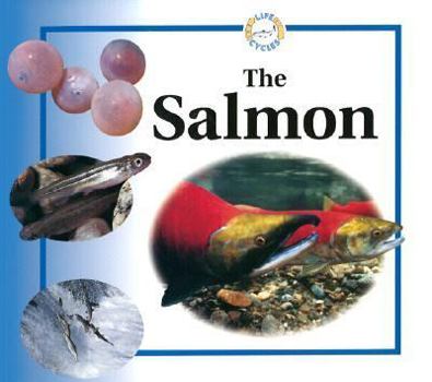 Paperback The Salmon Book