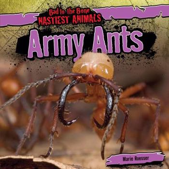 Army Ants - Book  of the Bad to the Bone: Nastiest Animals
