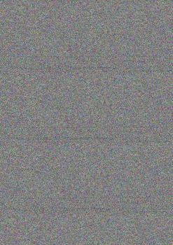 Paperback Sonic Transformations of Literary Texts: From Program Music to Musical Ekphrasis Book