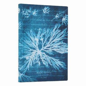 Sea Flowers Mini Lined Softcover Journal, 208pg, 80gsm, Treasures of the New York Public Library by Paperblanks (Anna Atkins' Cyanotypes)