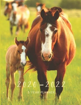 2020-2022 3 Year Planner Horse Foal Monthly Calendar Goals Agenda Schedule Organizer: 36 Months Calendar; Appointment Diary Journal With Address Book, ... Notes, Julian Dates & Inspirational Quotes