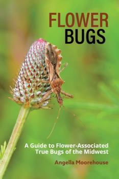 Perfect Paperback Flower Bugs: A Guide to Flower-Associated True Bugs of the Midwest Book
