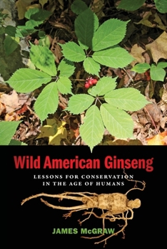 Paperback Wild American Ginseng: Lessons for Conservation in the Age of Humans Book