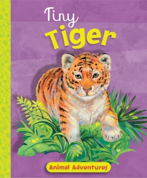 Hardcover Tiny Tiger Book