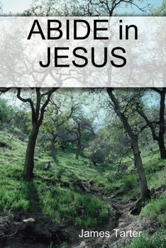 Paperback ABIDE in JESUS Book