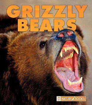 Library Binding Grizzly Bears Book