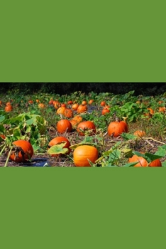 Paperback A maze puzzle_HS-13 Book