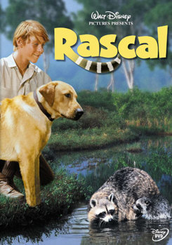 DVD Rascal Book