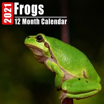 Calendar 2021 Frogs: Cute Frog Photos Monthly Mini Calendar With Inspirational Quotes each Month