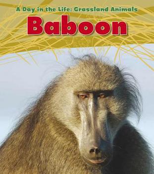 Baboon - Book  of the A Day In The Life
