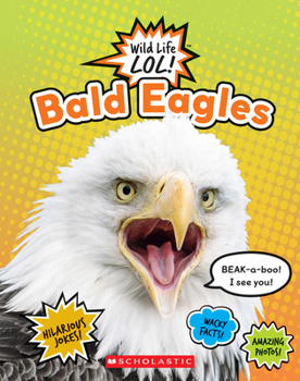 Library Binding Bald Eagles (Wild Life Lol!) Book