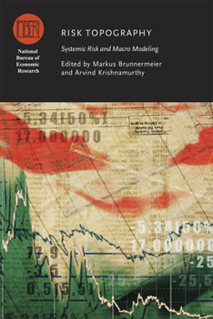 Hardcover Risk Topography: Systemic Risk and Macro Modeling Book