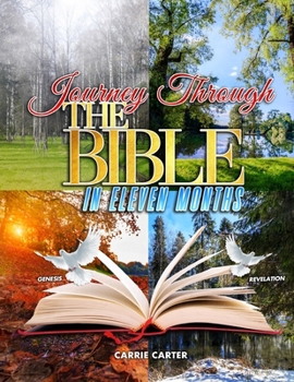 Paperback Journey Through the Bible in Eleven Months Book
